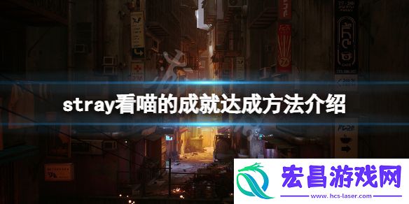 迷失看喵的成就在哪完成