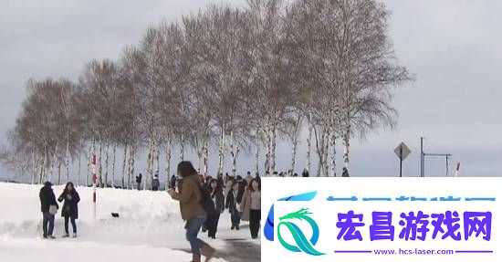 够狠！日本北海道阻无良游客未果