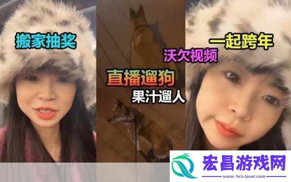 看B站直播间户外