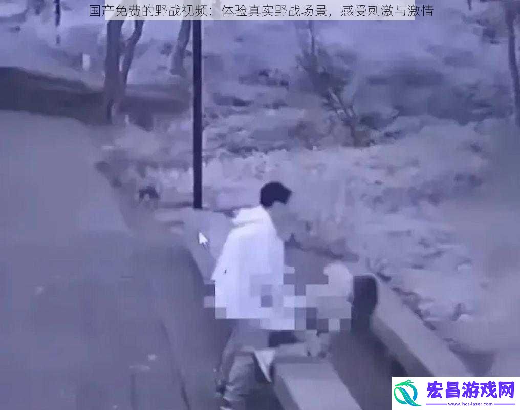 国产免费的野战