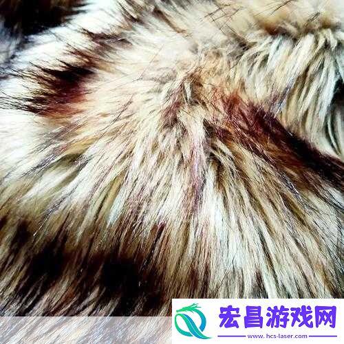 AAAA级的毛皮最简单三个颜色毛皮的色彩之旅
