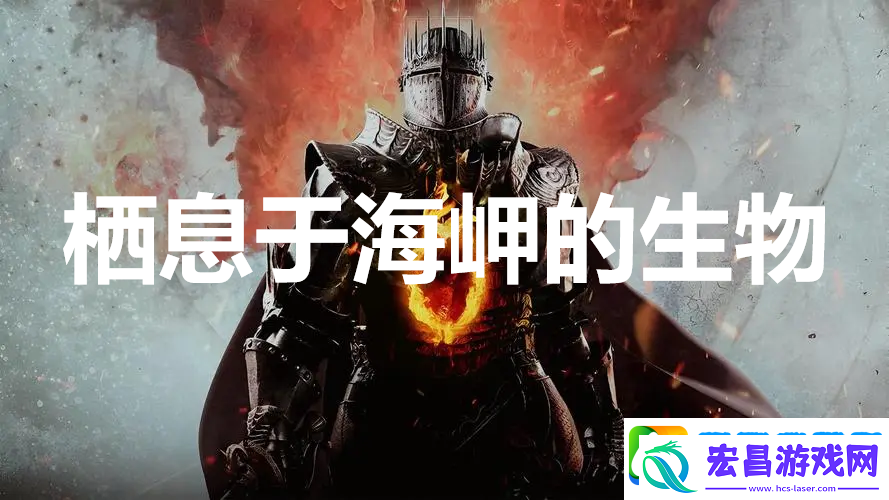 龙之信条2支线任务栖息于海岬的生物怎么完成