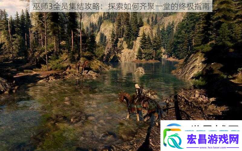 巫师3全员集结攻略