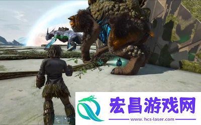 方舟生存进化服装市场解析