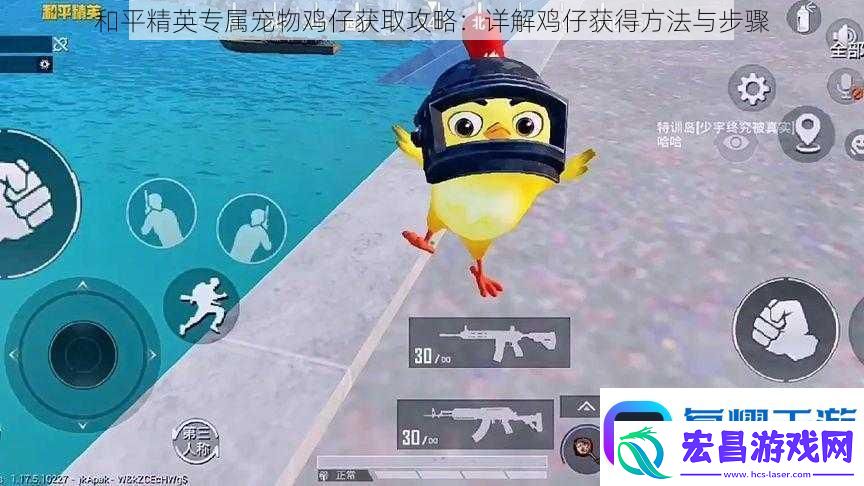 和平精英专属宠物鸡仔获取攻略