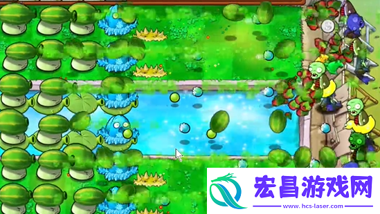 植物大战僵尸杂交版泳池防守第六关怎么过植物大战僵尸杂交版泳池防守第6关攻略