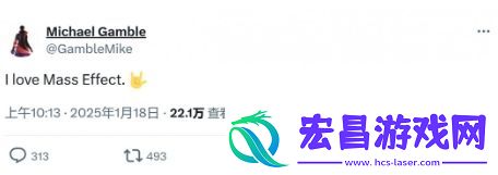 龙腾女总监