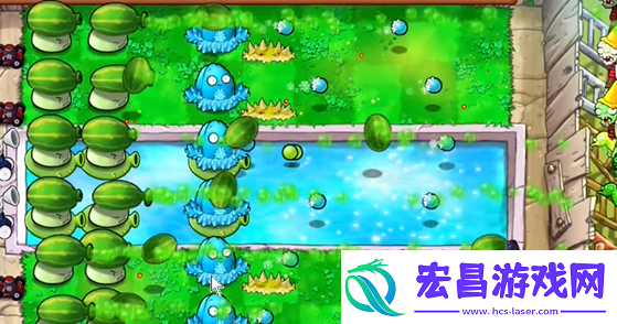 植物大战僵尸杂交版泳池防守第六关怎么过植物大战僵尸杂交版泳池防守第6关攻略