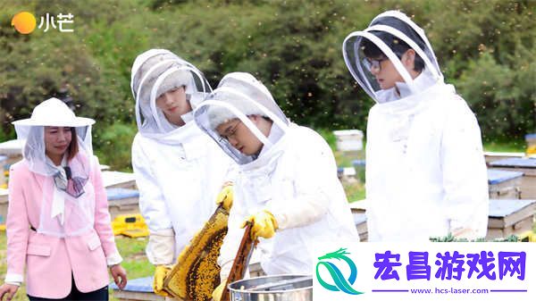 从制作蜂蜜到观测宇宙