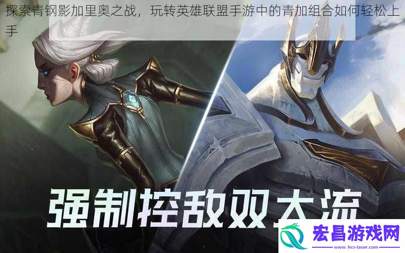 探索青钢影加里奥之战