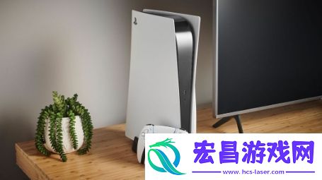 国外玩家投票
