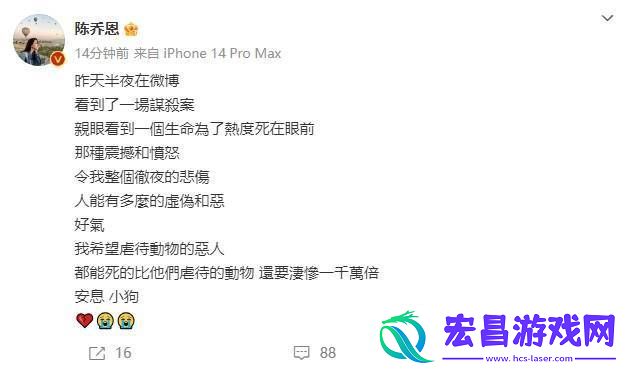 陈乔恩为红小狗艾特发声