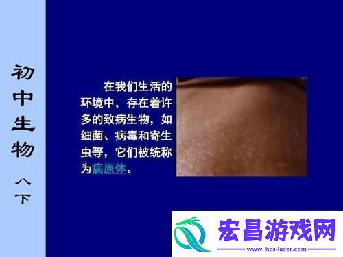 探寻“翁止熄痒苏钥10章”的深意与魅力