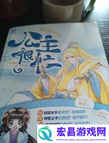 精彩纷呈的公主很忙