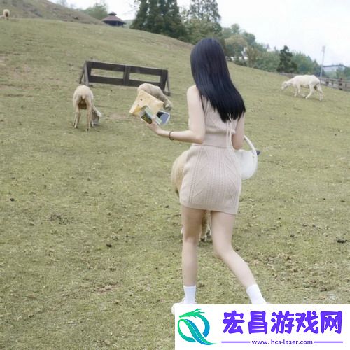 免费的行情网站www下载：你知道的所有下载方法都不如这个！直接改变你的投资方式！