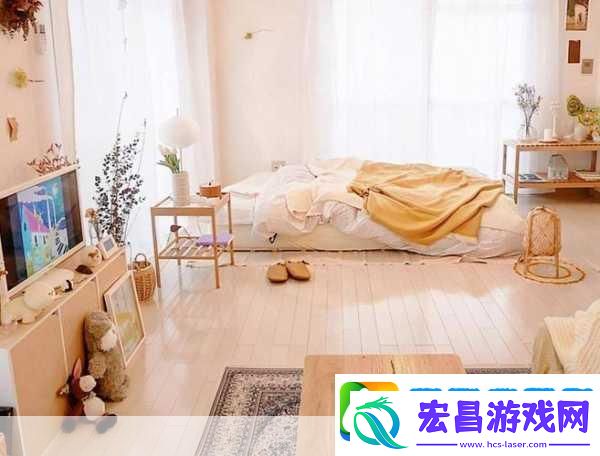 出租房里的交互高康张