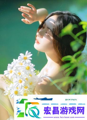 法国满天星八尺夫人菲律宾