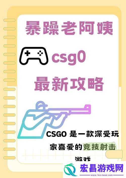 学习暴躁老阿姨