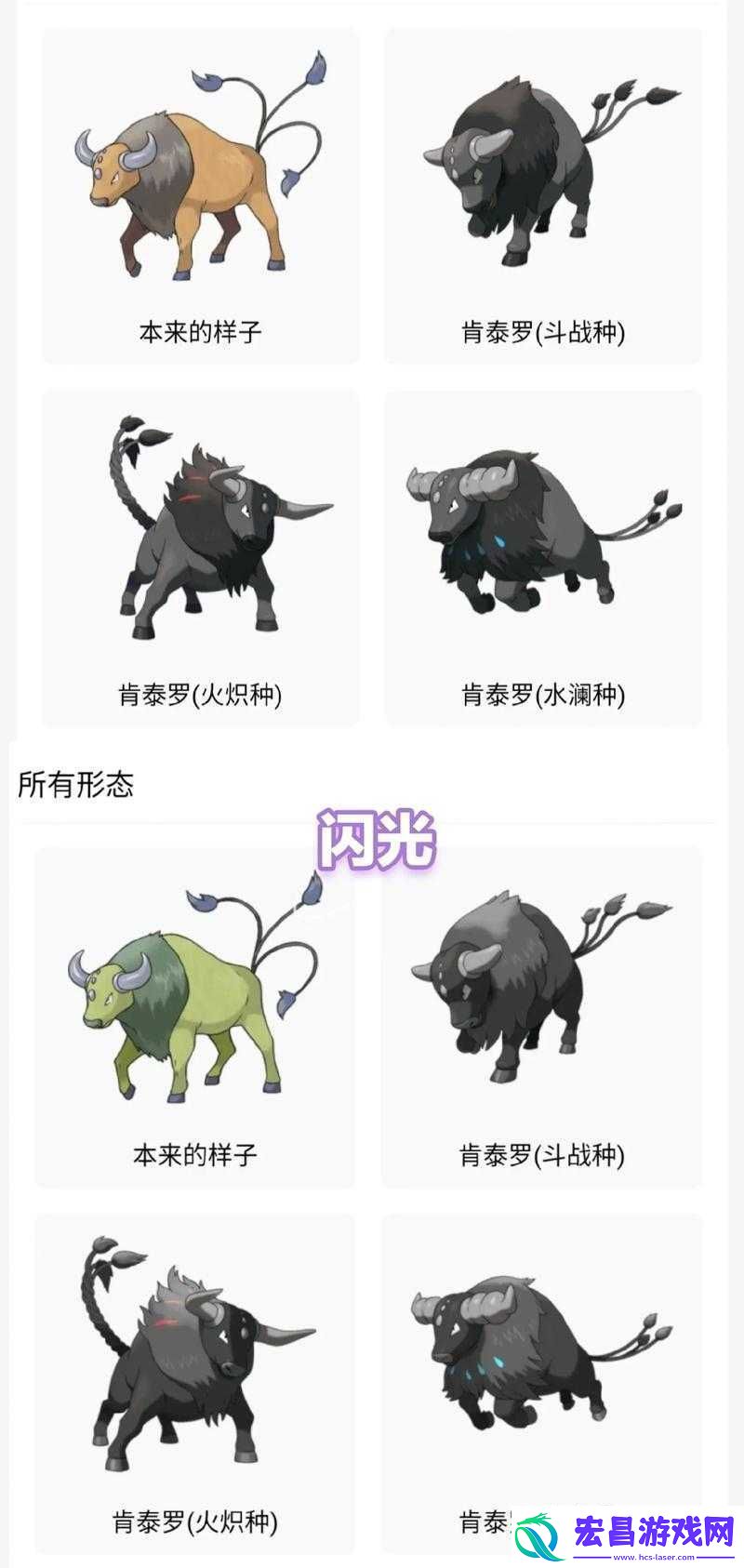 宝可梦大探险全面指南