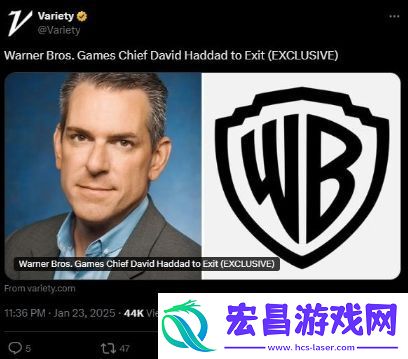 自杀小队惨败后