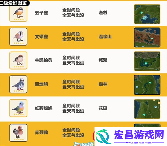 心动小镇观鸟图鉴大全