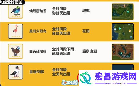 心动小镇观鸟图鉴大全