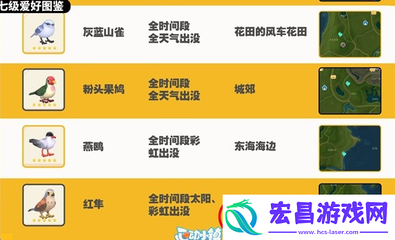 心动小镇观鸟图鉴大全