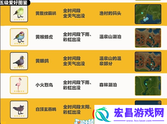 心动小镇观鸟图鉴大全