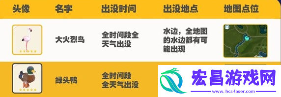 心动小镇观鸟图鉴大全