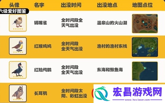 心动小镇观鸟图鉴大全