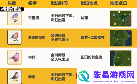心动小镇观鸟图鉴大全