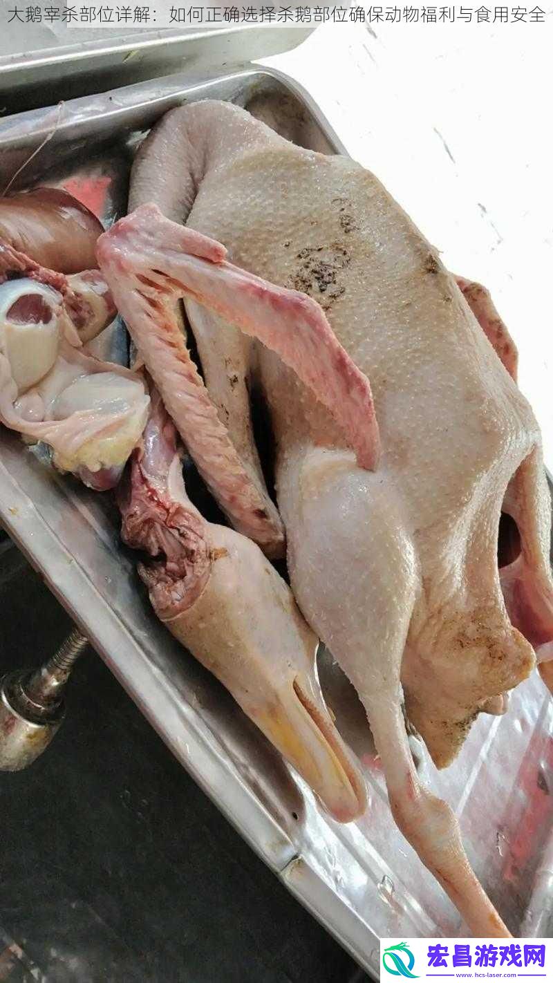 大鹅宰杀部位详解