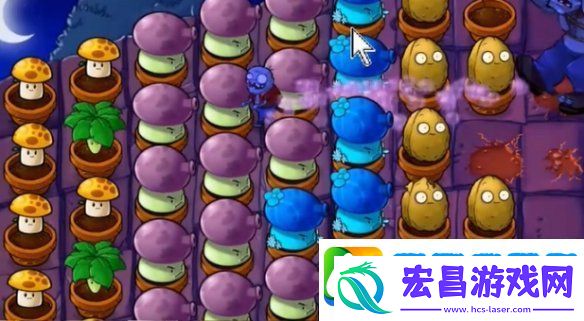 植物大战僵尸抽卡版冒险模式6