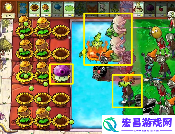 植物大战僵尸杂交版高冰果3怎么过植物大战僵尸杂交版高冰果3过关攻略