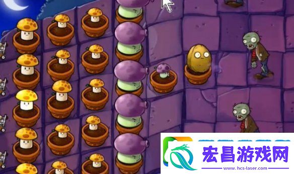 植物大战僵尸抽卡版冒险模式6