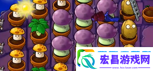 植物大战僵尸抽卡版冒险模式6