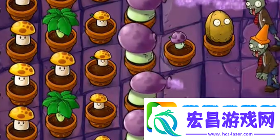 植物大战僵尸抽卡版冒险模式6
