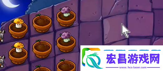 植物大战僵尸抽卡版冒险模式6