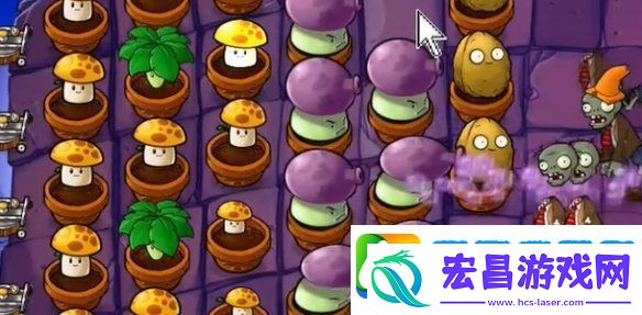 植物大战僵尸抽卡版冒险模式6