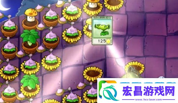 植物大战僵尸抽卡版冒险模式6