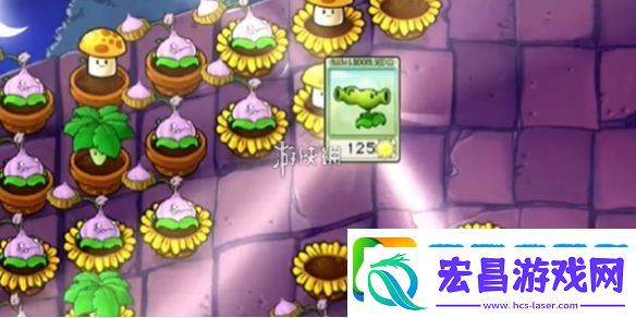 植物大战僵尸抽卡版冒险模式6