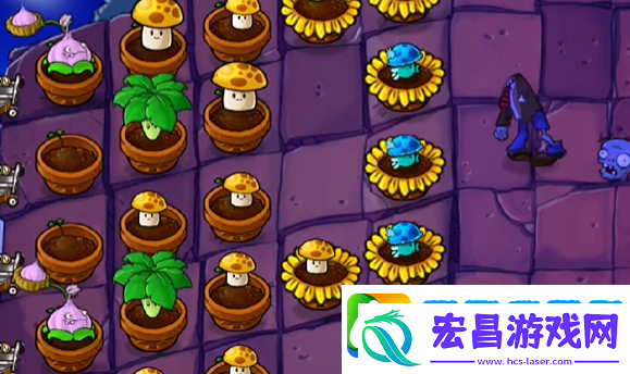 植物大战僵尸抽卡版冒险模式6
