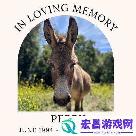 怪物史瑞克驴子原型佩里病逝不治