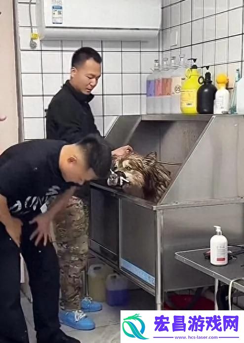 红小狗艾特主人称会有后续