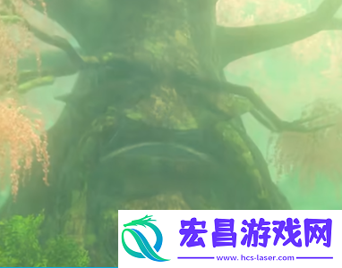 塞尔达传说王国之泪冒险记忆01位置攻略