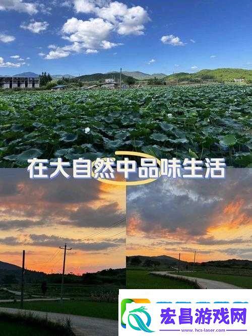 仙踪林网站主页