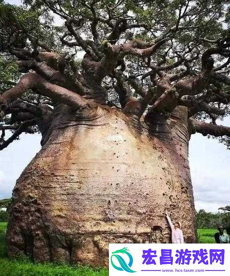 探秘非洲