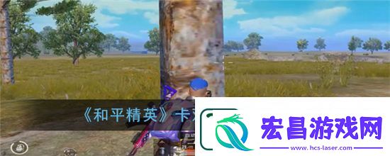 和平精英双弹夹bug怎么卡