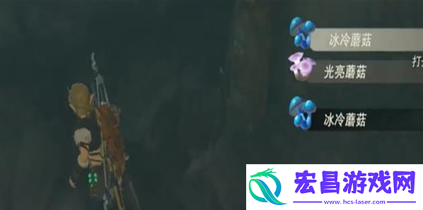 塞尔达传说王国之泪白鸟所指引的洞窟神庙怎么挑战挑战方法