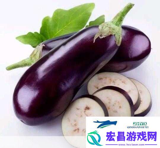 茄子丝瓜草莓榴莲石榴